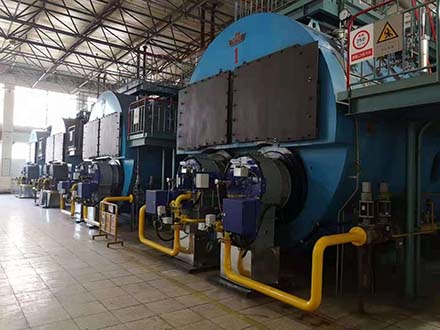 德國標(biāo)準(zhǔn)蒸汽鍋爐工程